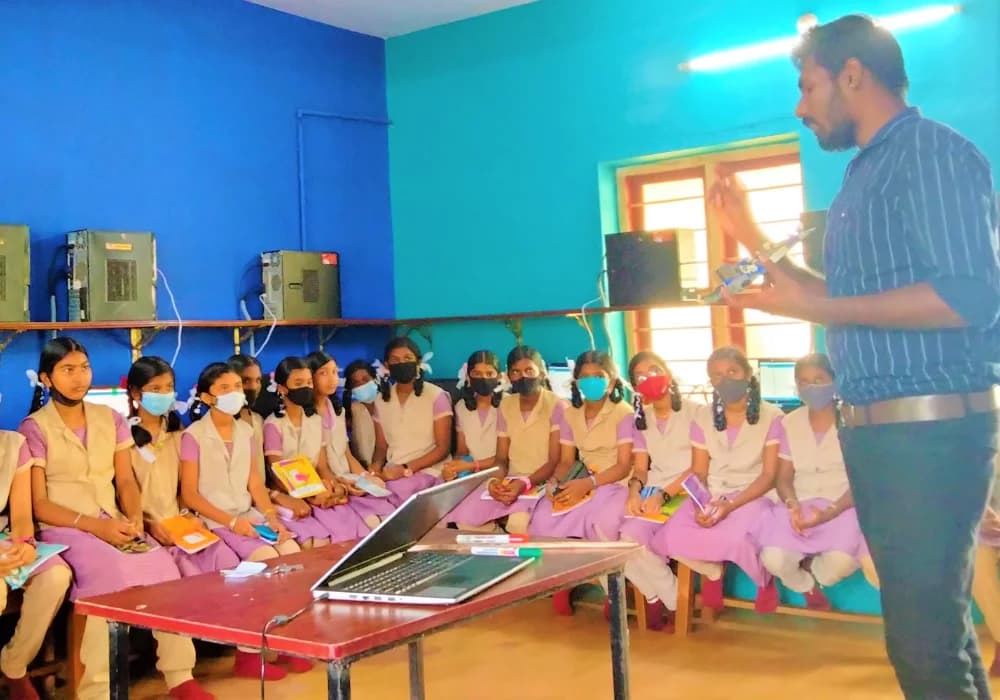 Stem Curriculum Development